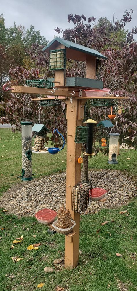 Hopper Bird Feeder, Bird Feeder Hanging Ideas, Ways To Hang Bird Feeders, Wildlife Feeding Station, Diy Large Bird Feeder, Bird Feeder Area, Bird Oasis Backyard, Bird Feeder Setup, Platform Bird Feeder Diy