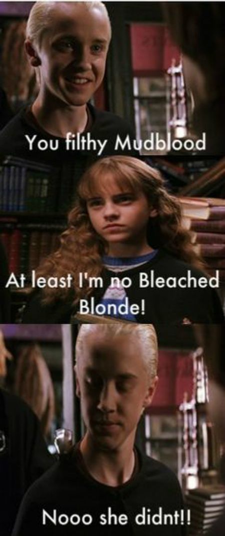 Jazzy Anne, Harry Potter Vs Twilight, Funny Harry Potter, House Quiz, Citate Harry Potter, Glume Harry Potter, Potter House, Funny Harry Potter Jokes, Harry Potter Memes Hilarious