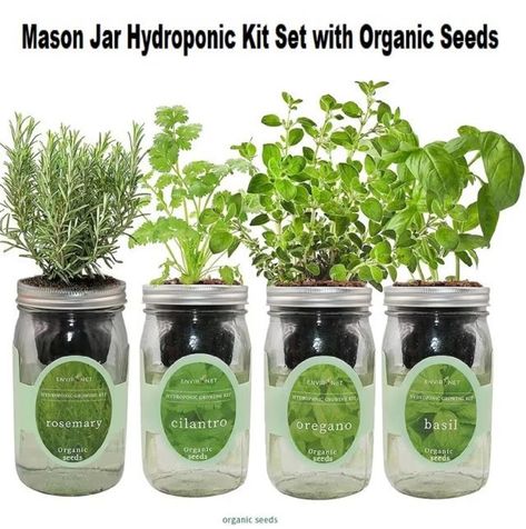 Windowsill Herb Garden, Window Herb Garden, Mason Jar Herbs, Mason Jar Herb Garden, Herb Garden Kit, Hydroponic Growing, Indoor Herb Garden, Herbs Indoors, Garden Kits