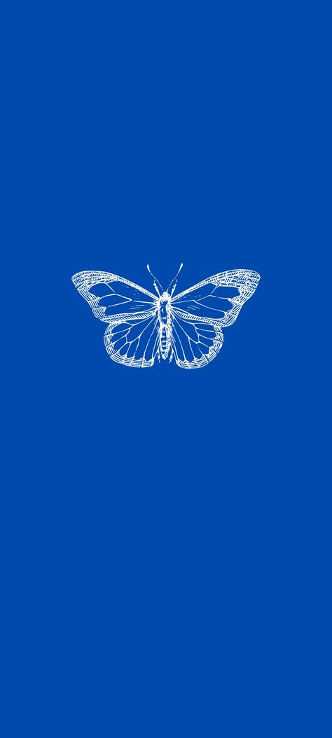 Borboleta papel de parede de celular azul 1080x2400 HD alta qualidade wallpaper butterfly branco e azul  simples minimalista Tablet tab s6 lite samsung Blue Wallpaper Butterfly, Wallpaper Butterfly, Decorated Room, Wallpaper 2023, Blue Wallpaper, Blue Wallpapers, Glow Up?, Cute Icons, Wallpapers