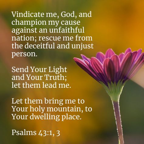 Vindicate me, God, and champion my cause against an unfaithful nation; rescue me from the deceitful and unjust person. Send your light and your truth; let them lead me. Let them bring me to your holy mountain, to your dwelling place. Psalms 43:1‭, ‬3 CSB Psalm 43, Holy Mountain, Dwelling Place, Powerful Bible Verses, Audio Bible, Daily Bible Reading, Bible Versions, Favorite Bible Verses, Reading Plan