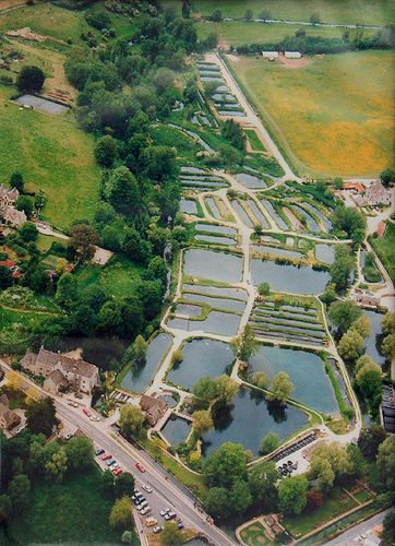 Bibury 22-09-2013 by Karen Roe, via Flickr Water Engineering, Arlington Row, Trout Farm, Glamping Ideas, Fish Farm, Cotswold Villages, Farm Visit, Timber Frames, Brown Trout