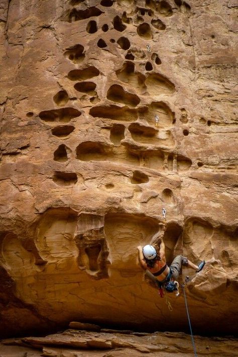 Pocket Rocket 5.10c, Day Canyon, Moab, Utah. #thepursuitofprogression #Lufelive #Climb #RockClimb #RockClimbing #LA #NY Rock Climbing Training, Pocket Rocket, Rock Climbing Gear, Base Jumping, Climbing Gear, Outdoor Climbing, Moab Utah, Rock Climbers, Ice Climbing