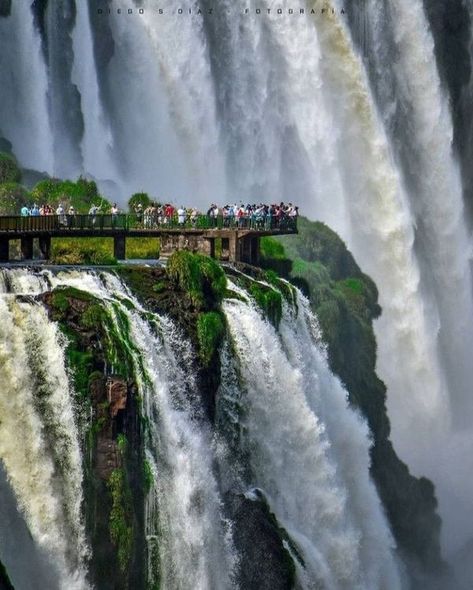 Iguazu Falls, Largest Waterfall, Argentina Travel, Local Travel, Beautiful Photos Of Nature, Vacation Packages, Calabria, Birds Eye, Vacation Ideas