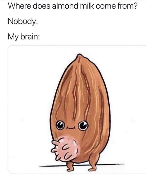 Brain Meme, Very Funny Pictures, Really Funny Joke, Random Memes, Really Funny Pictures, Haha Funny, Really Funny Memes, Funny Pins, My Brain