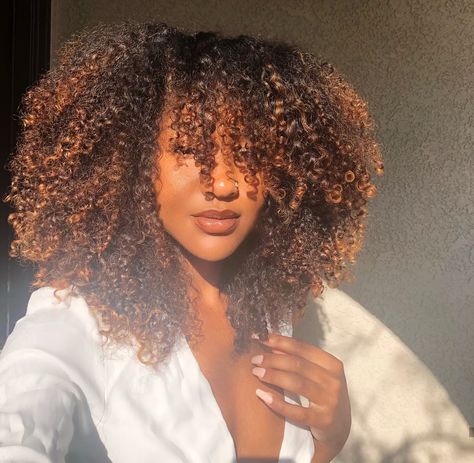 Highlights Curly Hair, Against All Odds, My Honey, Colored Curly Hair, Hair Twist Styles, Natural Curls Hairstyles, Queen Hair, Curly Hair Inspiration, Coily Hair