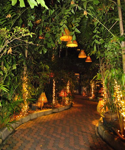 Enchanted garden pathway with lights Pathway Plants, Lighting Pathway, Garden Pathway, Enchanted Garden, Dream House Decor, Nature Aesthetic, Pretty Places, Dream Garden, Garden Lighting