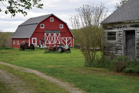 Connecticut’s Farmland Preservation Program Protects the Legacy of the Landvia Farm Flavor #farmtofork Small Farm Aesthetic, Farm Reference, Farm Architecture, Apple Tree Farm, Spring On The Farm, Farm Core, Farm Scenery, Farm Aesthetic, Farm Town