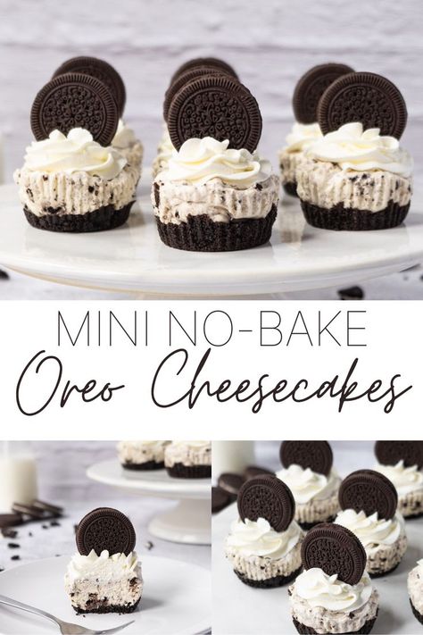 Cookie Crumb Crust, Mini Oreo Cheesecake, Crumb Crust, Oreo Cheesecake Recipes, Oreo Desserts, Oreo Dessert Recipes, No Bake Oreo Cheesecake, Mini Dessert Recipes, Fresh Whipped Cream