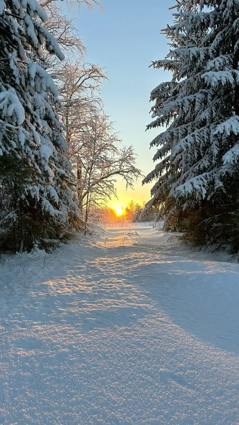 Winter Sunrise Wallpaper, Winter Scenery Pictures, Winter Home Screen, Winter Snow Photography, Cute Wallpapers For Phone, Seasonal Pictures, Sunrise Winter, Its Snowing, You're So Beautiful