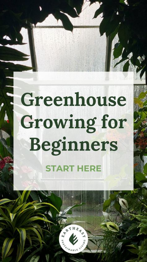 Ready to start greenhouse gardening but not sure where to begin? This beginner’s guide covers everything from finding the perfect greenhouse size and location to choosing the right soil and plants. With expert tips on watering, pest control, and disease management, you’ll be set up for success in no time! Greenhouse Garden Layout, How To Start A Greenhouse, Beginner Greenhouse Gardening, Greenhouse Tips And Tricks, What To Grow In Greenhouse, Greenhouses Aesthetic, Greenhouse Gardening For Beginners, Building A Greenhouse Diy, What To Grow In A Greenhouse