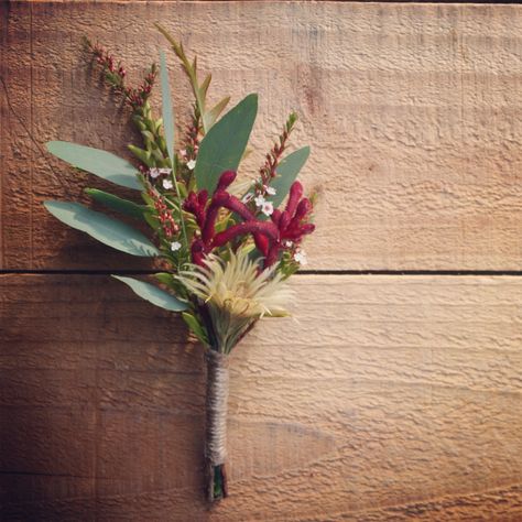 native wedding with kangaroo paw Wedding Centerpieces Cheap, Real Wedding Flowers, Burgundy Wedding Flowers, Daisy Wedding Flowers, Wedding Flowers Wildflowers, Country Wedding Flowers, Lavender Wedding Flowers, Neutral Wedding Flowers, Wedding Flowers Roses