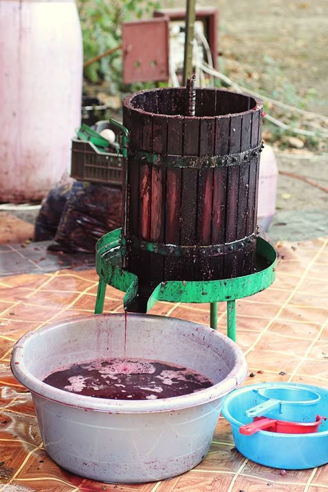 Teasc - a wine press device used to extract juice from crushed grapes during wine making. Picture taken from http://ro.wikipedia.org/wiki/Teasc Wine Factory, Art Du Vin, Grapes And Wine, Wine Maker, Diy Machine, Leaving The Country, Own Business Ideas, Eco House Design, Wine Press