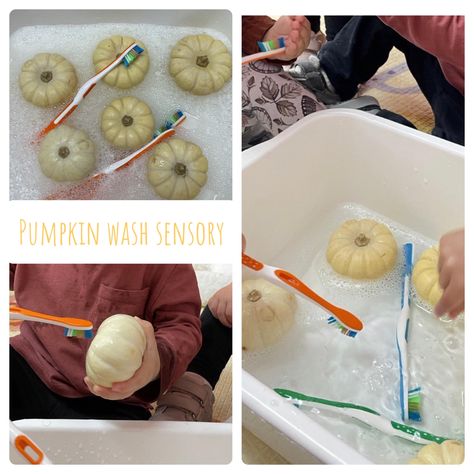 Sensory Bins, Toddler Activities