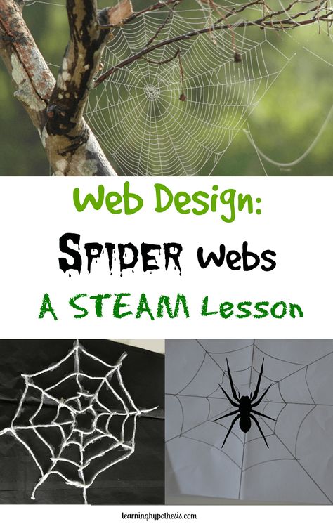 Web Design: Spider Webs Spider Unit Study, Spider Lessons, Spider Unit, Halloween Stem Activities, Spider Activities, Steam Lessons, Makey Makey, Spider Theme, Halloween Stem