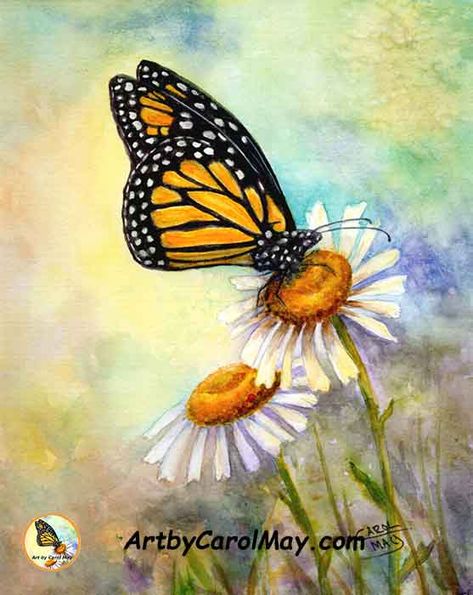 I enjoyed painting this Monarch butterfly with white daisies in watercolor. art by Carol May #ButterflyPaintings #MonarchButterflies Butterfly Painting Easy, Butterfly Paintings, Art Papillon, Butterfly Art Painting, Plant Drawing, Butterfly Painting, Butterfly Watercolor, Butterfly Art, Monarch Butterfly