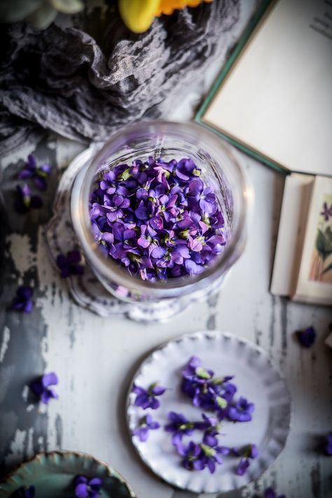 Violet Syrup, Violet Recipes, Wild Violets, Best Lemonade, Simple Syrup Recipes, Jumbo Box Braids, Spring Wildflowers, Private Chef, Syrup Recipe