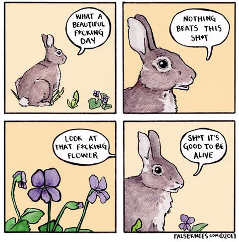 Animal Comics 4 Panel Life, Online Comics, Memes Humor, Wholesome Memes, Cute Comics, What’s Going On, Comic Strip, Funny Comics, Happy Friday