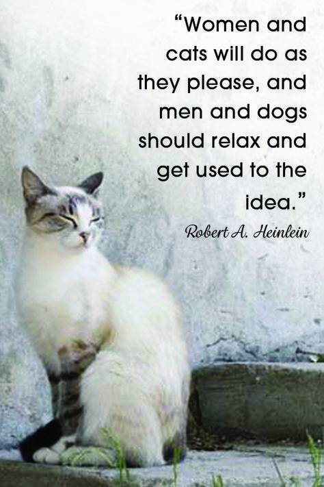 Cat People Quotes, Rescue Cats Quotes, Cat Woman Quotes, Cat Rescue Quotes, Meow Quotes, Cat Poetry, Meow Quote, Men And Dogs, Quotes About Cats