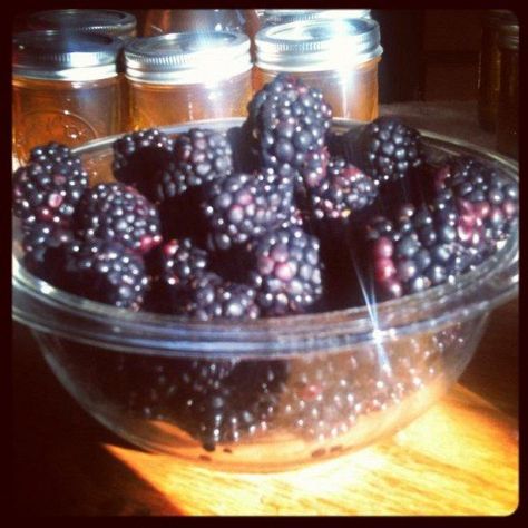 Blackberry preserves can be easily made with or without the seeds. In this recipe, I removed the majority of the berry seeds with a simple method using a tool that most people have in their kitchen, a strainer. Blackberry Brandy, Blackberry Preserves, Brandy Recipe, Mulberry Jam, Szechuan Recipes, Mulberry Recipes, Blackberry Jam Recipes, Homemade Alcohol, Blackberry Wine