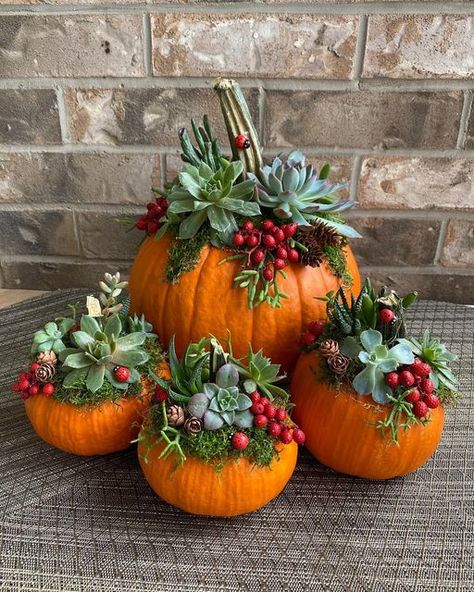 Inspiration Flowers on Instagram: "Happy Thanksgiving!🍁 #pumpkinsucculent #pumpkinarrangements #pumpkin" Pumpkin Succulent Centerpiece, Thanksgiving Pumpkin Decorating, Pumpkin Flower Arrangements, Pumpkin With Flowers, Diy Thanksgiving Decor, Pumpkin Bouquet, Pumpkin Flowers, Pumpkin Floral Arrangements, Succulent Display