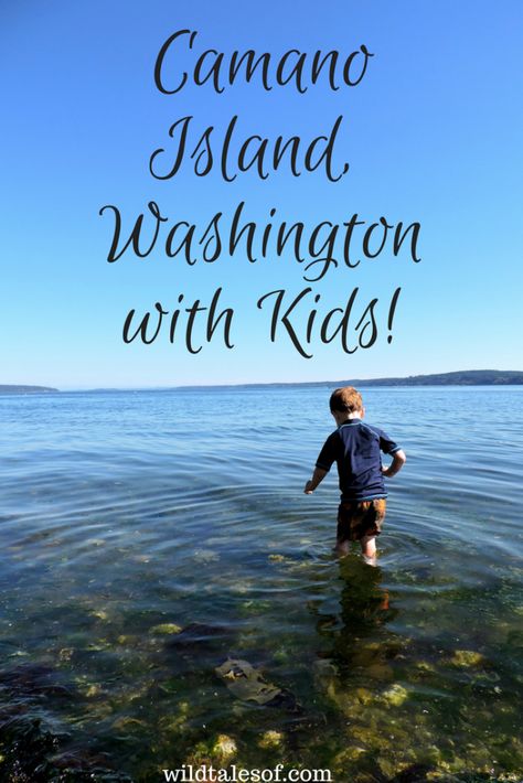 Camano Island, Washington with Kids: Travel and Adventure Guide Camano Island Washington, Summer Shenanigans, Nature Appreciation, Pnw Adventures, Family Vacations Usa, Washington Trip, Columbia Travel, British Columbia Travel, Travel Nursery