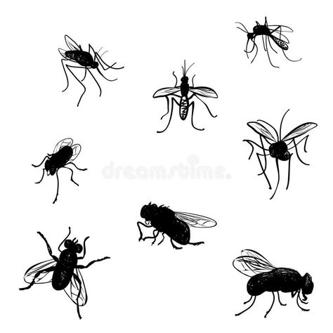 Mosquito Drawing, Vector Doodle, You Doodle, Animal Activities, Buy Posters, Stock Photography Free, Photo Posters, Beautiful Views, Vector Design