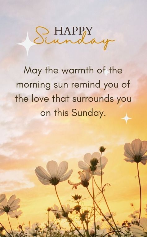 Sunday Blessings Mornings, Happy Sunday Wishes, Loving Gestures, Good Morning Sunday Quotes, Sunday Morning Blessings, Good Morning Sunday Blessings, Sunday Blessings Quotes, Happy Sunday Messages, Aries Queen