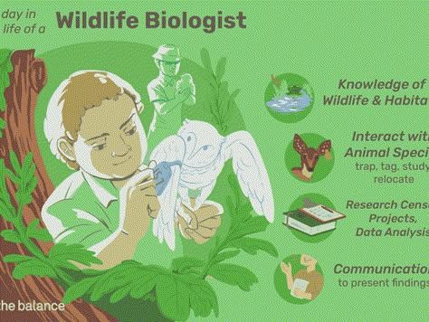 The Influence Of Wildlife Schooling On Scholar Profession Selections Check more at https://minneapolisnewspaper.net/the-influence-of-wildlife-schooling-on-scholar-profession-selections/ Animal Careers, Zoology Career, Environmental Science Major, Fathers Day Coloring Page, Turtle Coloring Pages, Wildlife Biologist, Swear Word Coloring Book, Abstract Coloring Pages, Words Coloring Book