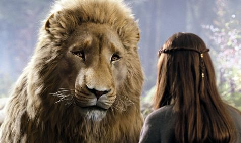 A 12-year-old girl kidnapped in Ethiopia was found several days after her abduction, safe under the watchful eyes of three lions. Narnia Wallpaper, Lucy Movie, C.s. Lewis, The Silver Chair, Narnia Movies, Narnia Prince Caspian, Lucy Pevensie, Georgie Henley, Mos Def