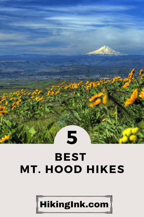 Breathe in the fresh mountain air ⛰️ and soak in the breathtaking views. Lace up your boots 🥾🥾 and take one of the amazing Mt. Hood hikes. #mthoodhikes #hiking Mt Hood Hikes, Mount Hood National Forest, Trillium Lake, Oregon Hikes, Hiking Poles, Alpine Meadow, Mirror Lake, Hiking Spots, Mt Hood