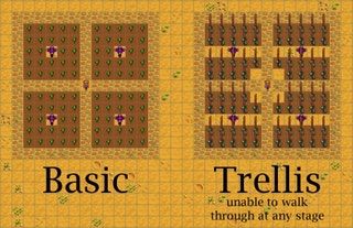 Trellis Crops Stardew Crop Layouts, Stardew Valley Trellis Layout, Stardew Crops Layout, Crop Layout Stardew, Stardew Valley Crops Layout, Stardew Valley Crop Layout, Stardew 1.6, Stardew Valley 1.6, Stardew Tips