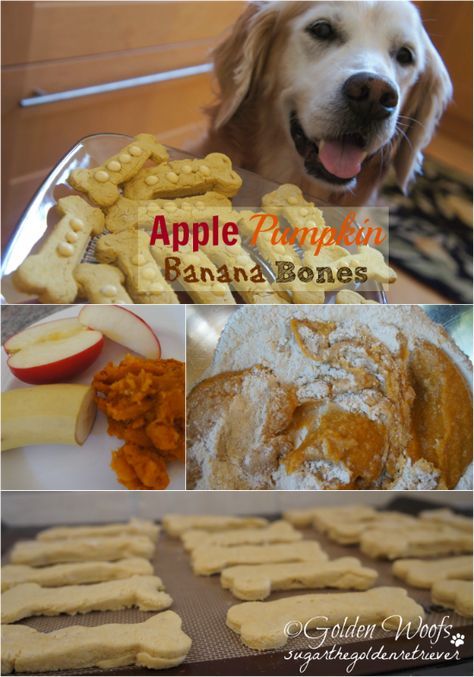 Dogs Treats, Apple Pumpkin, Fu Dog, Pumpkin Banana, Diy Dog Treats, Puppy Treats, Schnauzer Puppy, Dog Cookies, Dog Biscuits