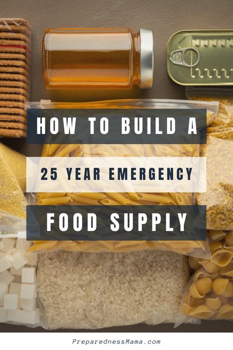 Diy Emergency Food Supply, Best Emergency Food Survival Kits, Years Supply Of Food, Foods That Last A Long Time, Emergency Food Supply List, Alaskan Homestead, Emergency Stockpile, Emergency Food Kit, Best Emergency Food