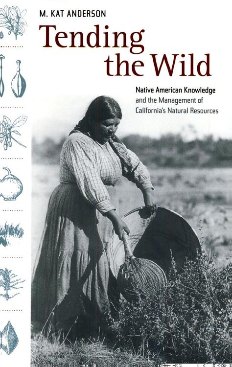 Bedside Books, Native American Knowledge, California Nature, Indigenous Knowledge, Wild Book, Plant Medicine, Book People, Story Board, John Muir