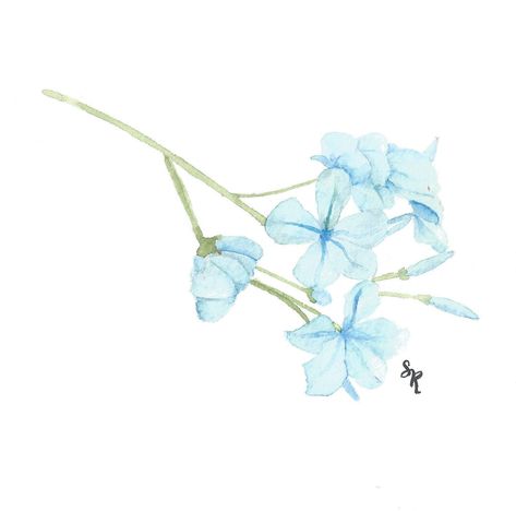 Jasmine Tattoo, Jasmine Art, Blue Jasmine, Flower Journal, Jasmine Flower, Painting Floral, Botanical Poster, Digital Flowers, Blue Watercolor