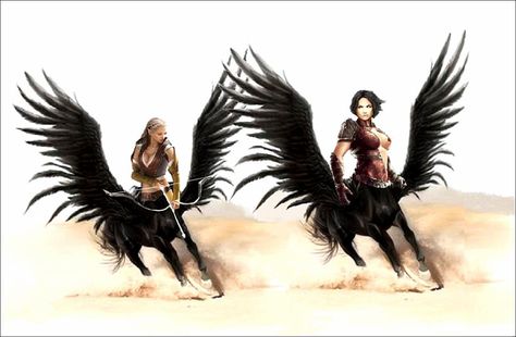 Winged Centaurs by mplumb Types Of Dragons, Dnd Art, Wild Woman, Warrior Princess, Norse Mythology, Gods And Goddesses, A Lady, Mythical Creatures, User Profile