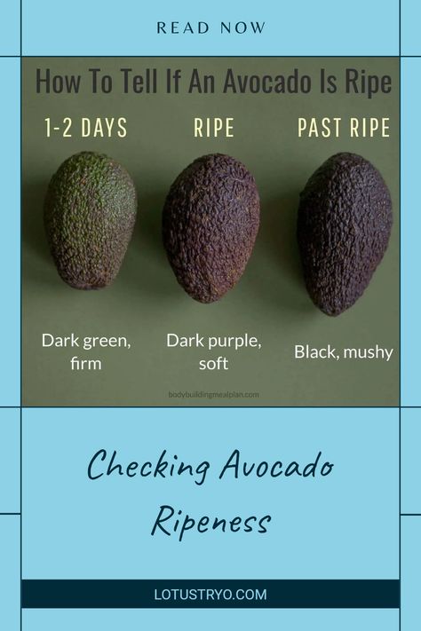 Wondering how to tell if an avocado is ripe? This guide will help you recognize the signs of ripeness with simple tips. Gently squeeze the avocado to feel for softness; if it gives slightly under pressure, it’s ready to eat! We’ll also cover color guides and when to buy for the freshest avocados Avocado Ripeness, Unripe Avocado, Fruit Press, Fresh Avocado, Mashed Avocado, Guacamole Recipe, Ripe Avocado, Delicious Fruit, Under Pressure