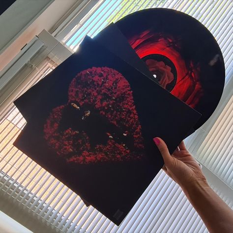 Conan Gray Superache Vinyl. Black and red Vinyl. Limited edition Record Superache Vinyl, Conan Gray Superache, Conan Gray Aesthetic, Joey Graceffa, Red Vinyl, Gray Aesthetic, Conan Gray, Christmas Wishlist, Music Stuff