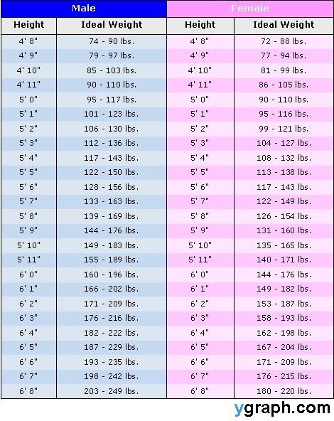 Hight And Weight Chart, Weight Height Chart, Average Weight Chart, Height To Weight Chart, Weight Chart For Men, Healthy Weight Charts, Ideal Weight Chart, Weight Charts For Women, Weight Chart