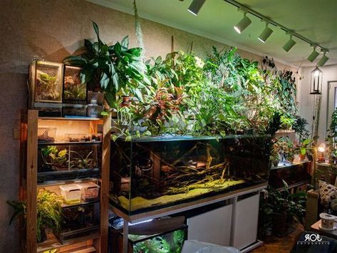 Aquarium aesthetic collection with beautiful pictures of aquariums and aquarium fish. Subscribe to this collection and you will not lose these photos 🐟🐠🐡🦈 Living Wall Aquarium, Terrarium In Living Room, Fish Room Ideas Aquarium, Fish Aquarium Ideas For Living Room, Room Aquarium Ideas, Aquarium Room Ideas, Aquarium In Bedroom, Wall Aquarium Ideas, Aquarium Placement