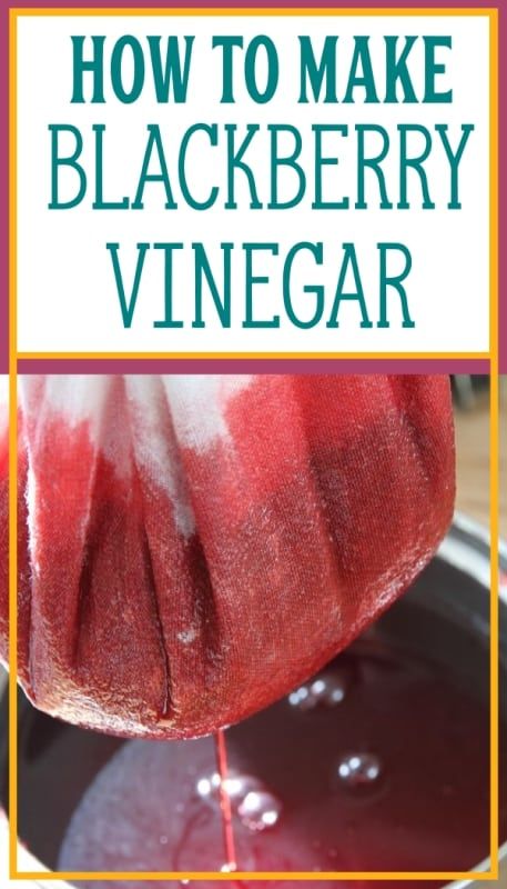 Have you ever found yourself searching for ways to use an over-abundance of blackberries? That even after making jams and syrup, after freezing and preserving blackberries in every manner you can possibly think of, you still have more ripening in the berry patch? Today, I'm going to help you solve this problem by teaching you how to make blackberry vinegar from scratch! Here's a step by step breakdown of the process! Preserving Blackberries, Blackberry Vinegar Recipes, Blackberry Vinegar, How To Make Vinegar, Making Apple Cider, Flavored Vinegars, Infused Vinegars, Frugal Cooking, Berry Patch