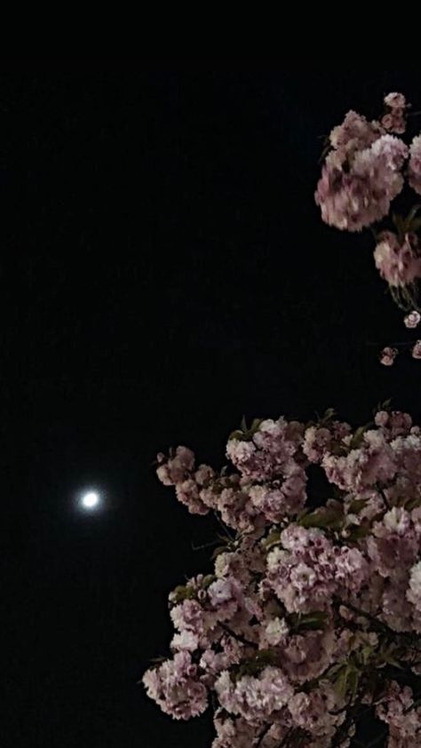 Moon, Flowers