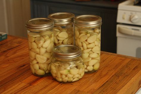 How to Preserve Garlic: A Fast, Easy Method! —  Three Acre Farm How To Preserve Garlic, Preserve Garlic, Preserving Garlic, How To Store Garlic, Garlic Uses, Small Glass Jars, Dinner Prep, Garlic Bulb, Cooking Oils