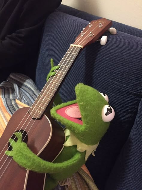 U WHEN UR BARD BRINGS OUT THE FUCKIN LUTE IN DND Sapo Kermit, Half Elf Bard, Elmo And Friends, Tiefling Bard, Kermit Funny, Mode Hippie, Kermit The Frog, Ukelele, The Frog