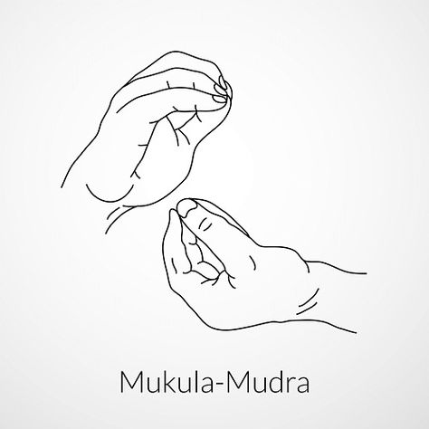 Mukula Mudra can give energy to your body and keep you concentrate. Here are Mukula Mudra steps, meaning and benefits for you. Mukula Mudra, Hand Mudra, Yoga Mudras, Integral Yoga, Gyan Mudra, Buddha Hand, Hand Gestures, Chakra Affirmations, Spiritual Values