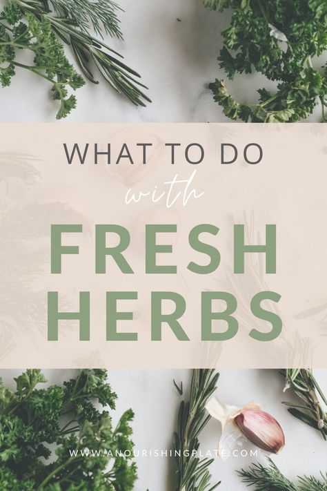 Using Fresh Herbs In Cooking, How To Use Herbs In Cooking, Things To Do With Fresh Herbs, How To Use Fresh Herbs, Cooking With Fresh Herbs Recipes, How To Save Fresh Herbs, Fresh Herbs Recipes, What To Do With Fresh Herbs, Storing Fresh Herbs