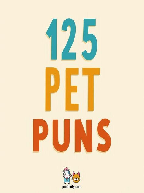 pet puns Pet Puns, Pet Turtle, Pet Spa, Pet Snake, Pet Rats, One Liner, Dog Sitting, Unique Animals, You Smile