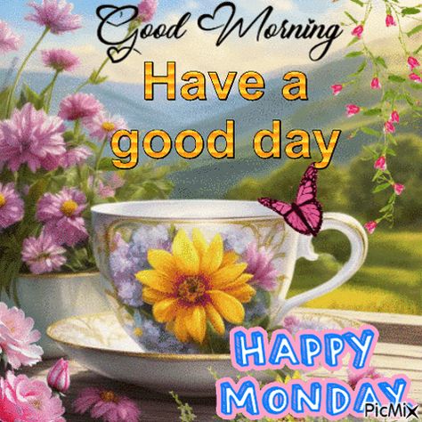 Happy Monday Good Monday Morning GIF - Happy monday Good monday morning - Discover & Share GIFs Monday Morning Gif, Good Morning Monday Gif, Happy Monday Gif, Monday Morning Greetings, Monday Morning Wishes, Monday Good Morning, Monday Morning Blessing, Happy Monday Images, A Blessed Sunday