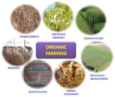 Organic Farming, Bio-Fertilizers and Their Use in Agriculture | PMF IAS Dr Organic, Nitrogen Fixation, Organic Agriculture, Organic Pesticide, Natural Farming, Farming Techniques, Farming System, Compost Tea, Crop Rotation